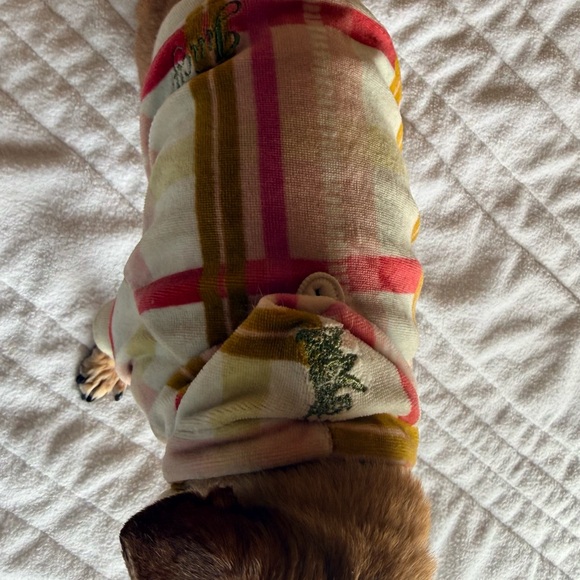 ✨ Juicy Couture Velour Dog Hoodie XS ✨ - Picture 4 of 9